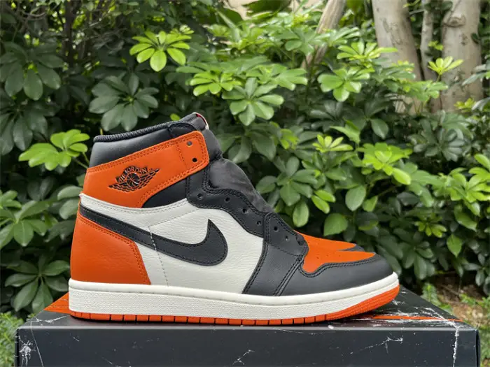 Authentic  Air Jordan 1 Retro High OG  Shattered Backboard   2025 CDBBA2015