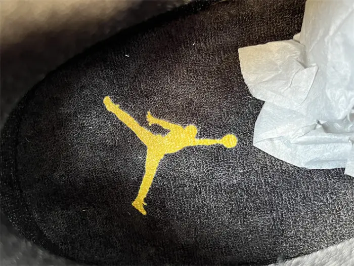 Authentic Air Jordan 11  Gamma Blue   2025 