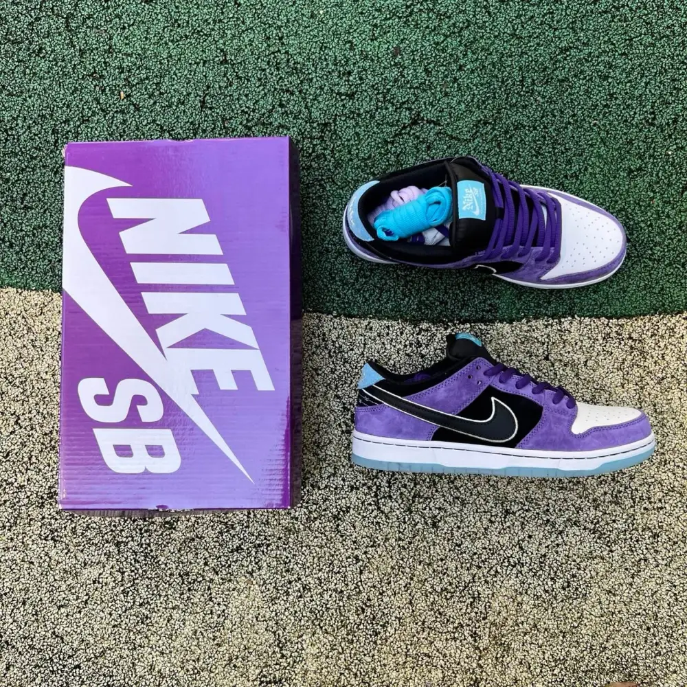 Authentic Hayley Wilson x Nike SB Dunk Low “Court Purple” 