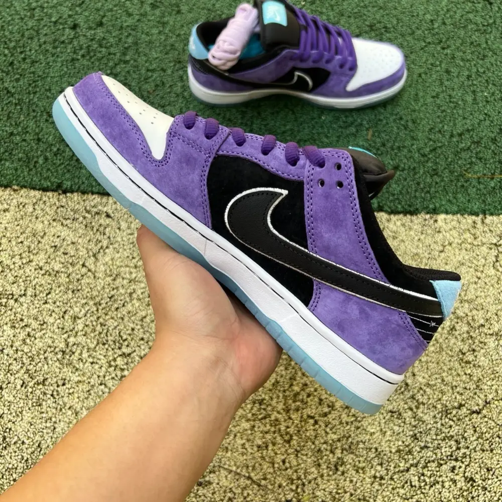 Authentic Hayley Wilson x Nike SB Dunk Low “Court Purple” 