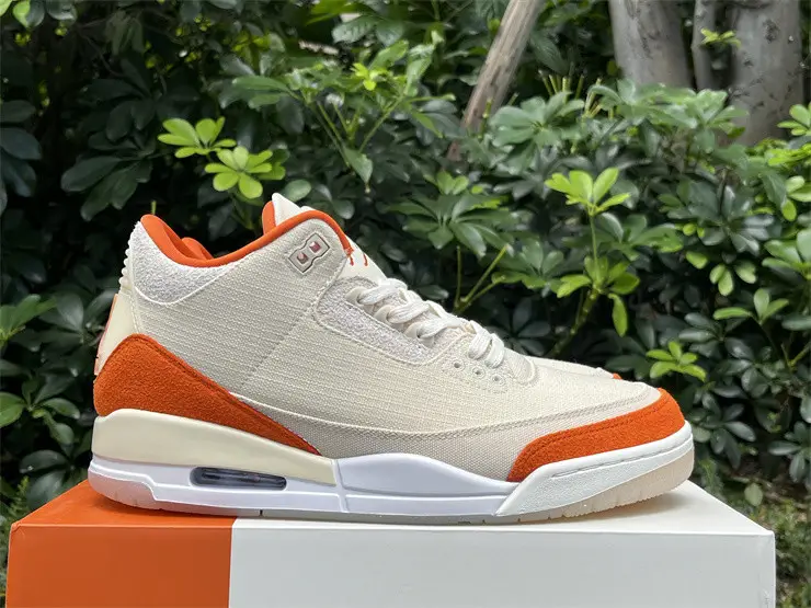 Authentic Jordan 3 Retro TEX Starfish 