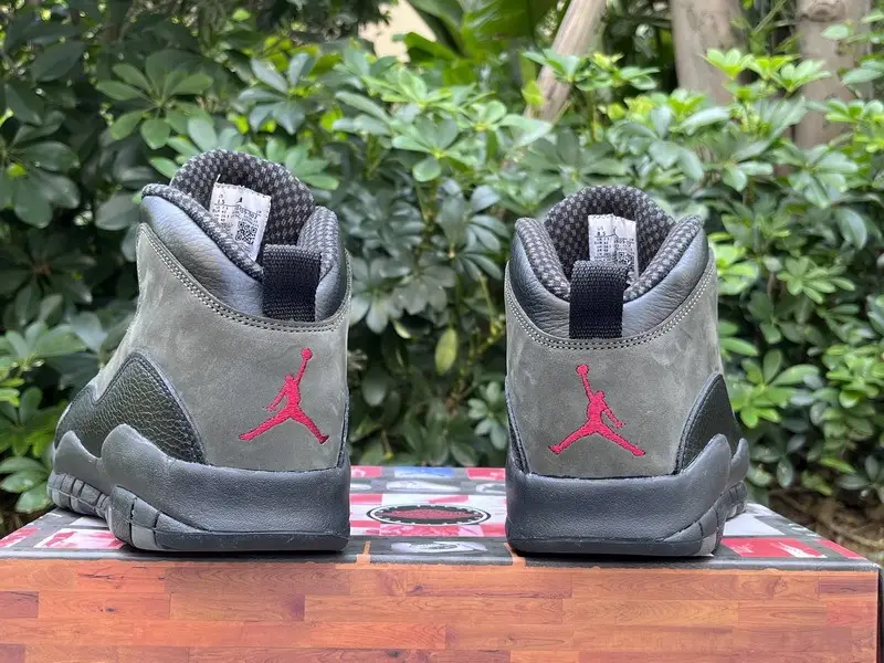 Authentic Air Jordan 10 “Shadow” 
