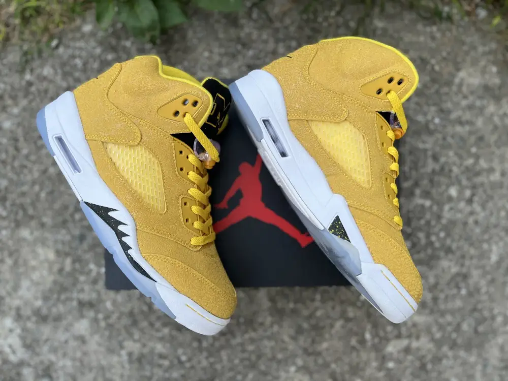 Authentic Air Jordan 5 “Michigan” PE 