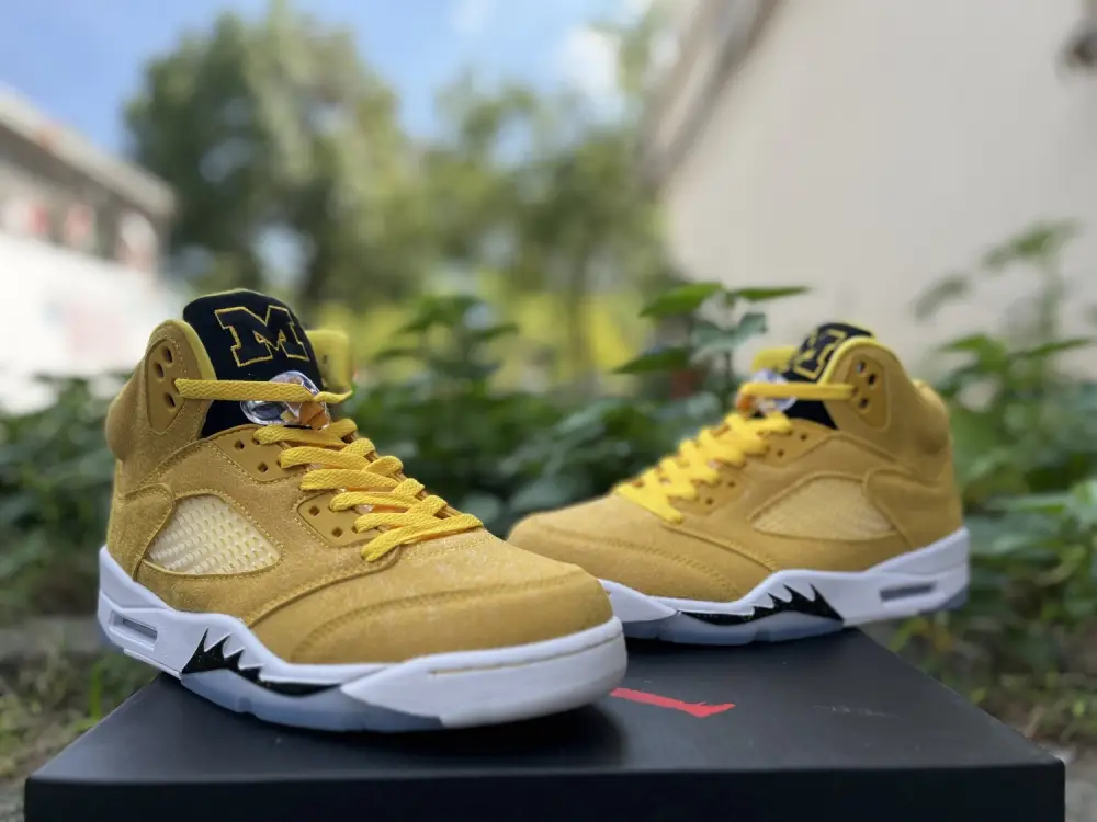 Authentic Air Jordan 5 “Michigan” PE 