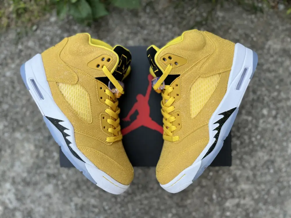 Authentic Air Jordan 5 “Michigan” PE 