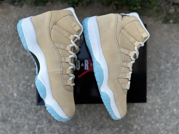 Authentic Air Jordan 11 H-Town 