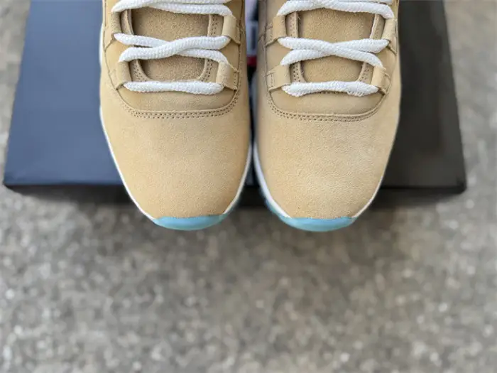Authentic Air Jordan 11 H-Town 