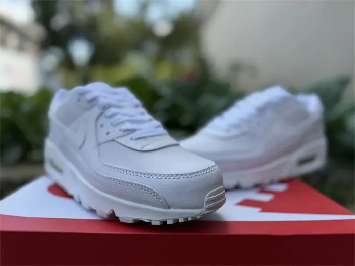 Authentic Air Max 90 Shoes-002 DBB1843