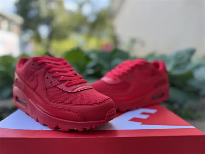 Authentic Air Max 90 Shoes-005 ECDD2085