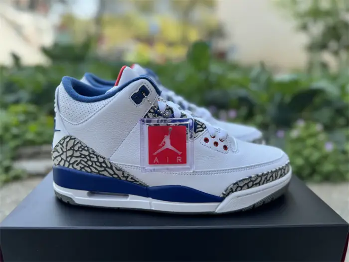 Authentic Air Jordan 3 Retro True Blue 2016 FCEBF884