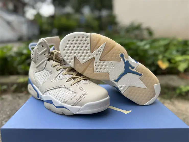 Authentic Air Jordan 6 Retro Sashiko 