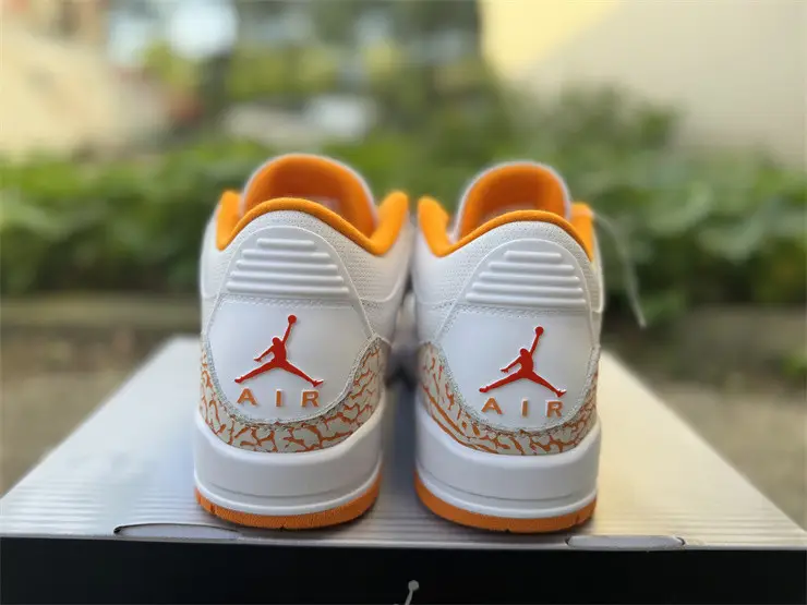 Authentic Air Jordan 3 Retro Orange Citrus 