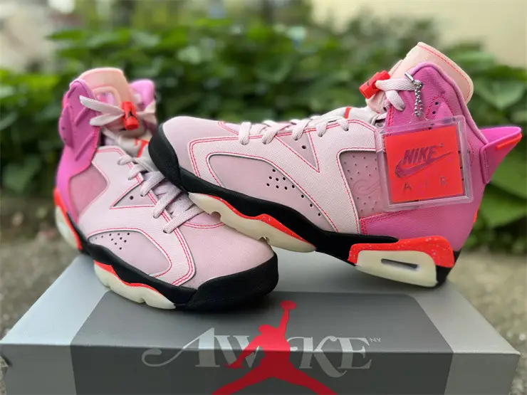 Authentic Air Jordan 6 Retro Awake NY Playful Pink 