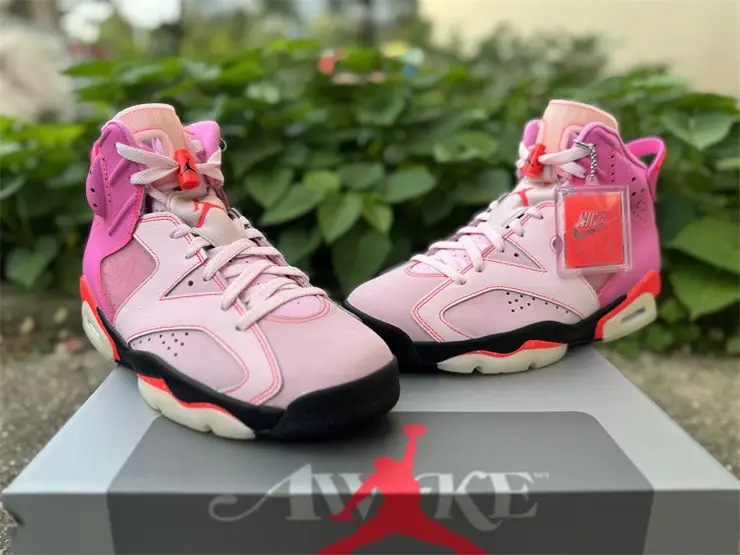 Authentic Air Jordan 6 Retro Awake NY Playful Pink 